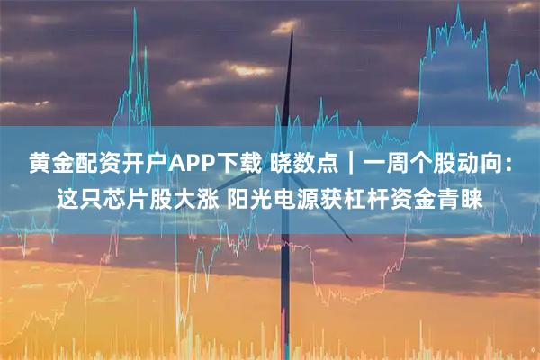 黄金配资开户APP下载 晓数点｜一周个股动向：这只芯片股大涨 阳光电源获杠杆资金青睐