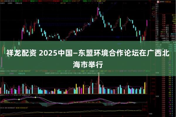 祥龙配资 2025中国—东盟环境合作论坛在广西北海市举行