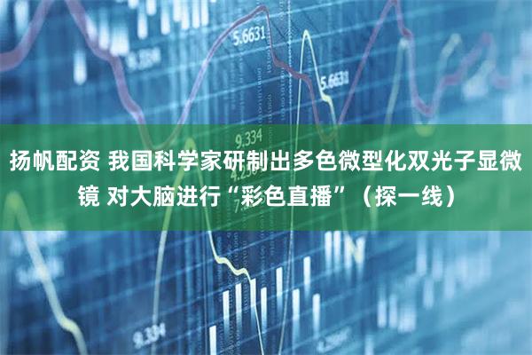 扬帆配资 我国科学家研制出多色微型化双光子显微镜 对大脑进行“彩色直播”(探一线)
